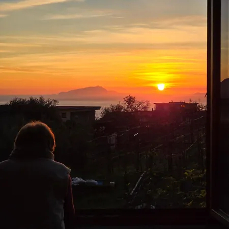 Farma N'haidea - Agrifarm E