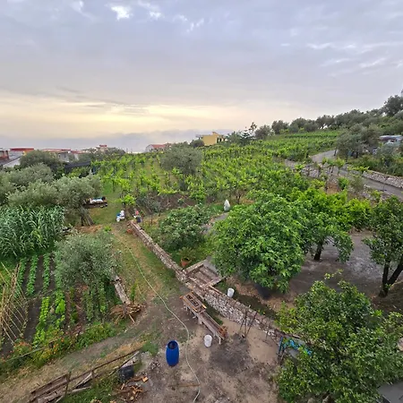 N'haidea - Agrifarm E *