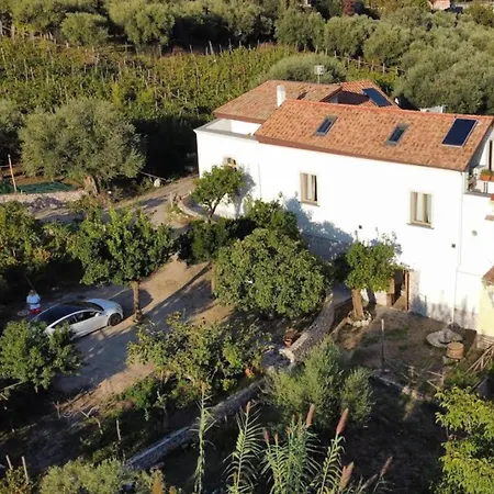 N'haidea - Agrifarm E