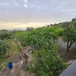 N'haidea - Agrifarm E *