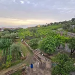 N'haidea - Agrifarm E *
