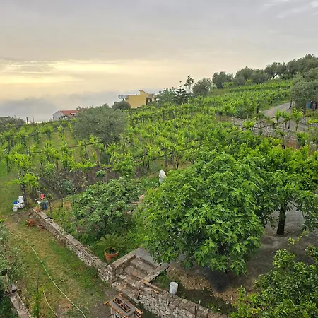 N'haidea - Agrifarm E Farm stay Lettere