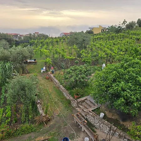 Farm stay N'haidea - Agrifarm E