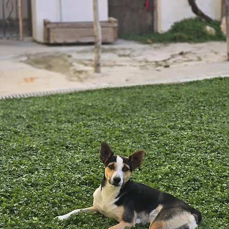 ファームステイ N'haidea - Agrifarm E *