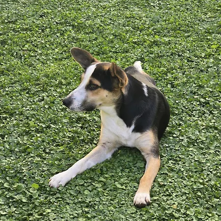 Feriegård N'haidea - Agrifarm E Lettere